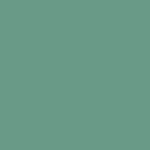 Tru-Color TCP-810 Flat Light Green, Tru-Color, 1oz. Brushable