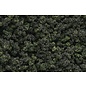 Woodland Scenics FC139 Underbrush Forest Blend Bag