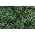 Woodland Scenics L162 Lichen - Light Green