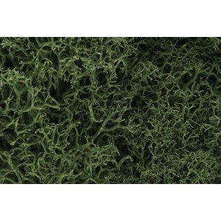 Woodland Scenics L163 Lichen - Medium Green