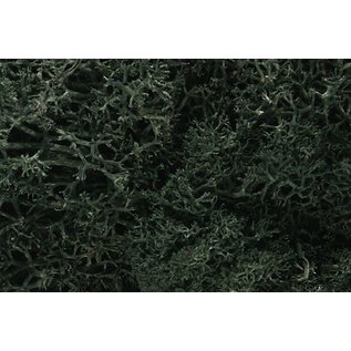 Woodland Scenics L164 Lichen - Dark Green