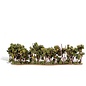 Woodland Scenics TR3582 Hedge Row Trees 1" - 4"