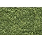Woodland Scenics F51 Foliage Light Green