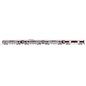 Lionel 2527660 Lionel Lines 15" Aluminum Passenger Car 4 Pack
