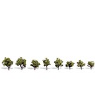 Woodland Scenics TR3545 Early Light Trees, 3/4" - 1 1/4", 8pk