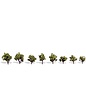 Woodland Scenics TR3545 Early Light Trees, 3/4" - 1 1/4", 8pk