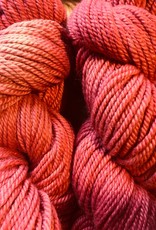 Passion Fruit Worsted 3 Ply 180 Yds