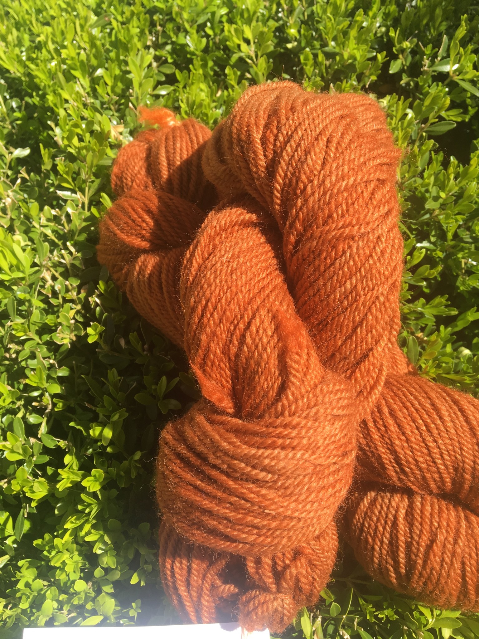 Persimmon DK 220 Yds 2.8 Oz 3 Ply