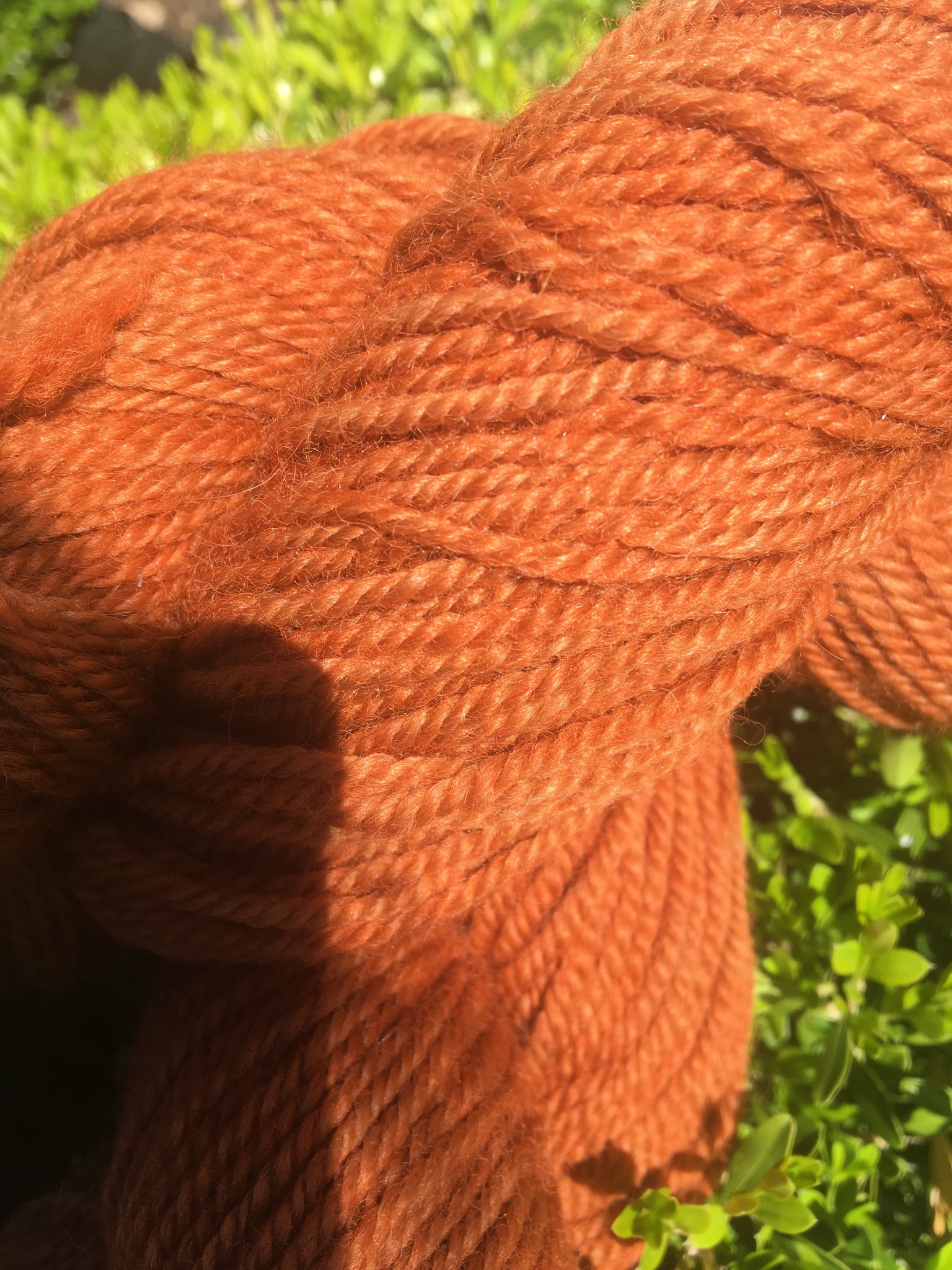 Persimmon DK 220 Yds 2.8 Oz 3 Ply