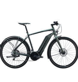 Giant Quick-E+ 2017 Grey Bicycle