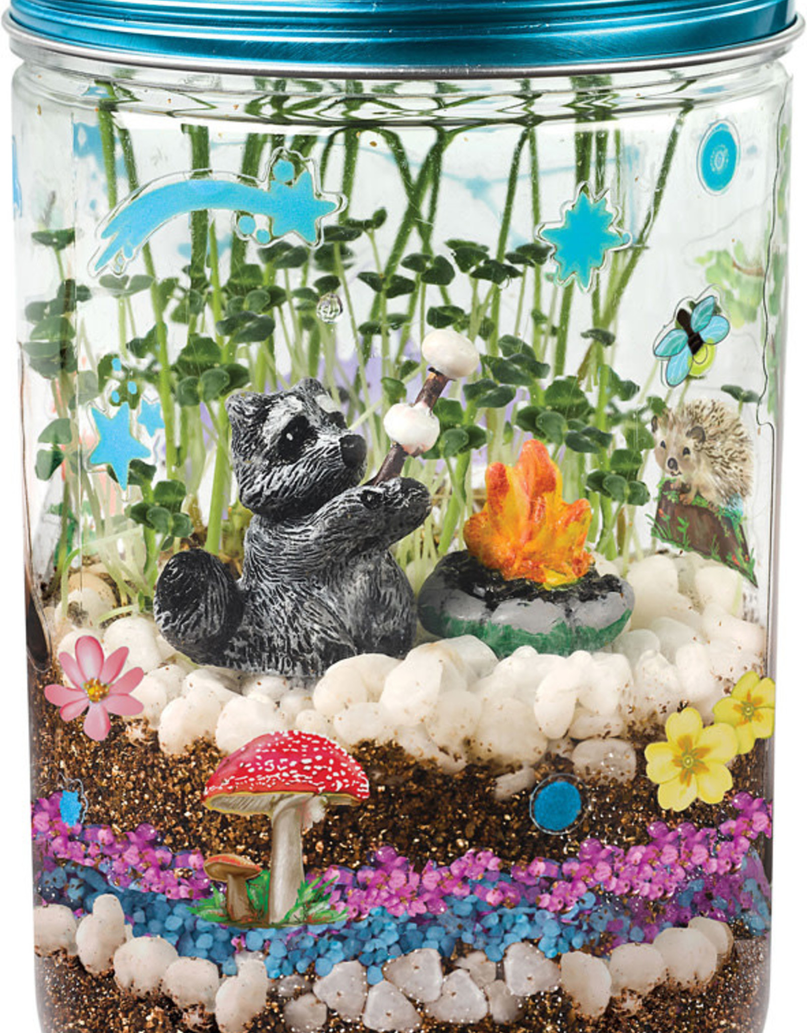 Grow N Glow Terrarium - Toy Market