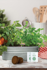 Taco Night Windowsill Grow Kit