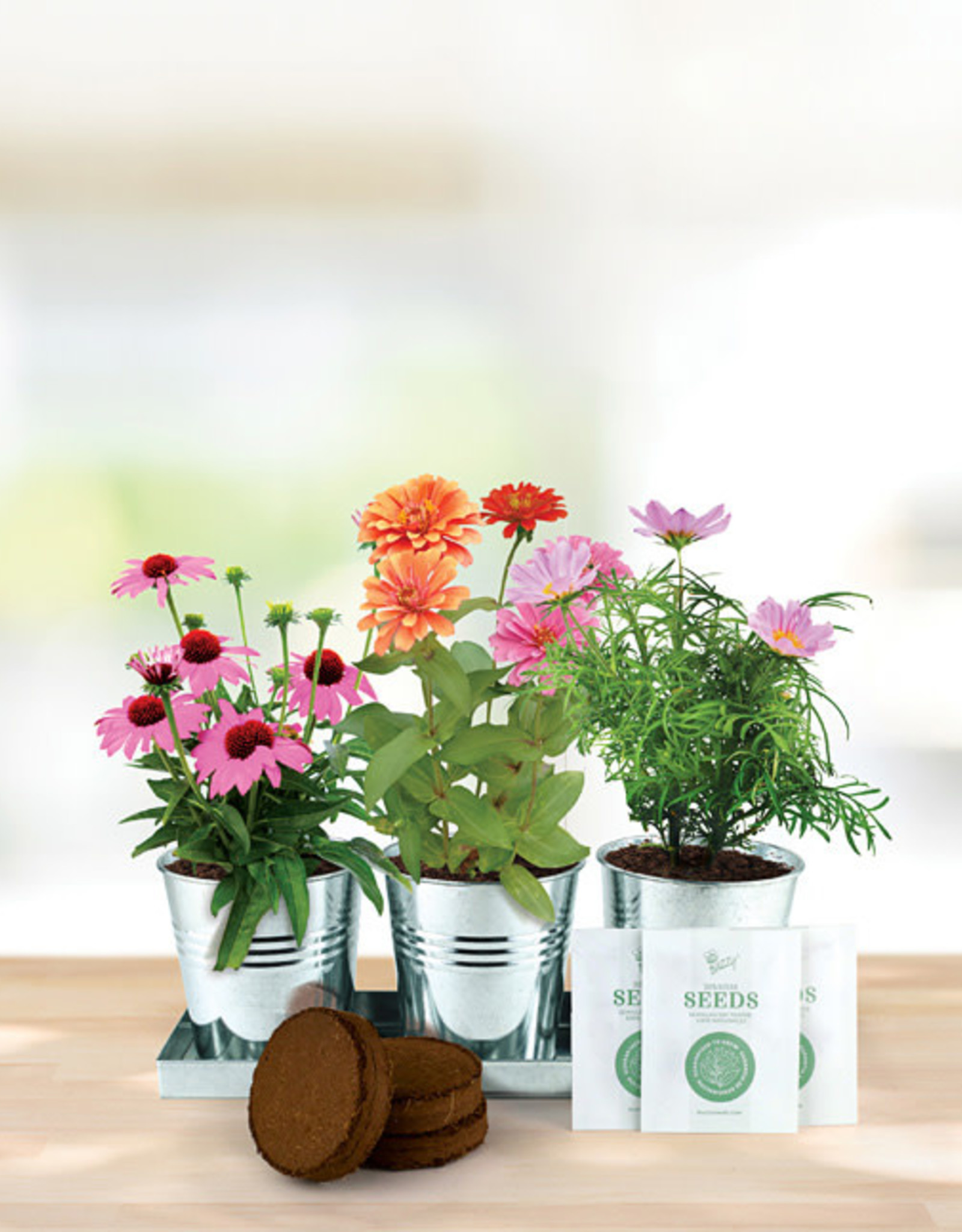 Save the Bees 3 Pot Windowsill Grow Kit