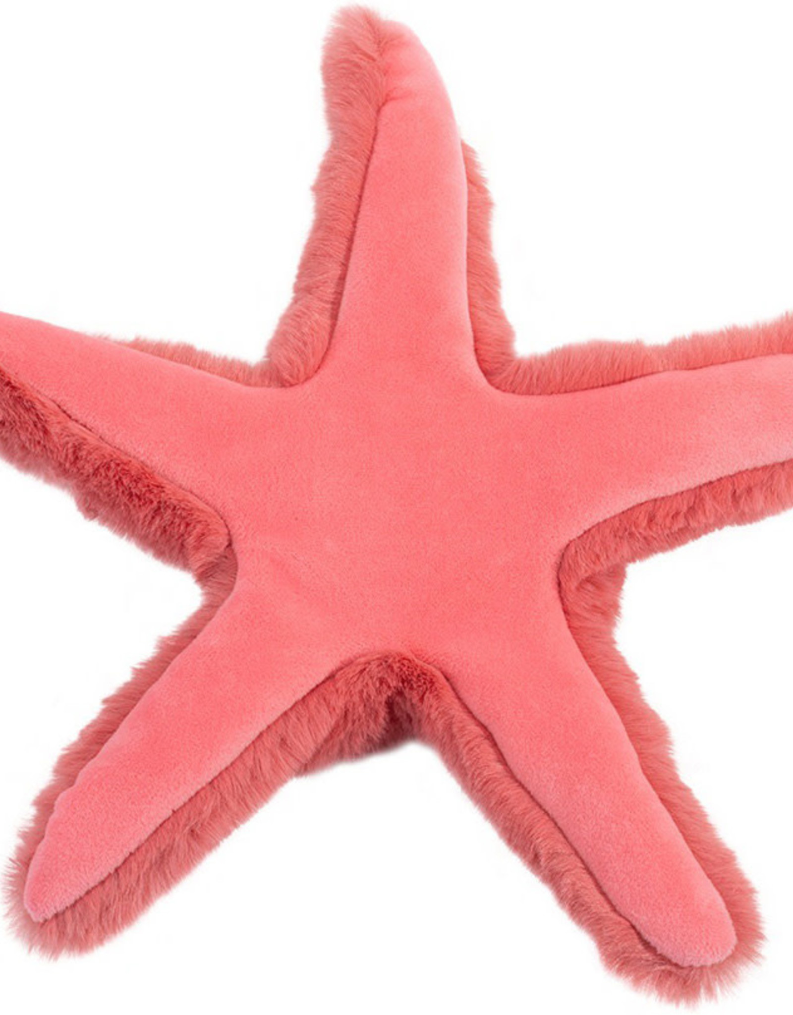 Coral Starfish