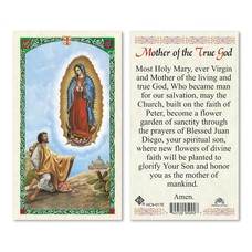 Mother of the True God OLG w St. Diego Laminated Holy Card