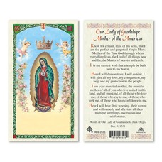 Mother of the Americas OLG Laminated Holy Card