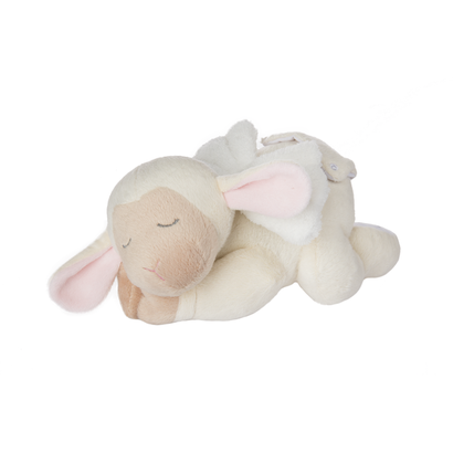 Sleeping Lamb