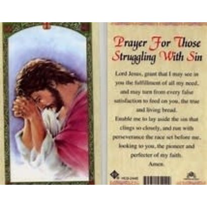 Prayer For Those Struggling with Sin Laminated Holy Card, Printed in Italy