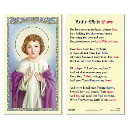 Little White Guest Laminated Holy Card, Printed in Italy