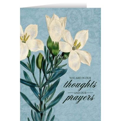 Blank Greeting Card: You are in Our Thoughts and Prayers