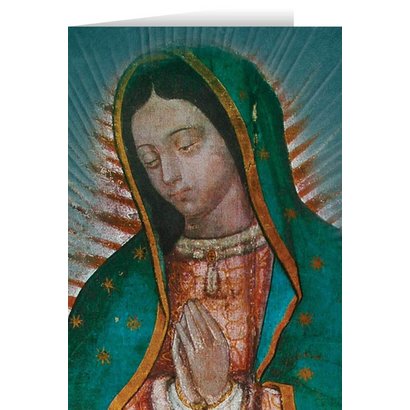 Our Lady Of Guadalupe Detail Blank Greeting Card