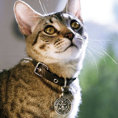 Cat Pet Medal