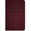 NABRE - New American Bible Revised Edition (Burgundy Deluxe Leatherette)