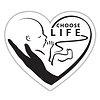 Choose Life Auto Magnet