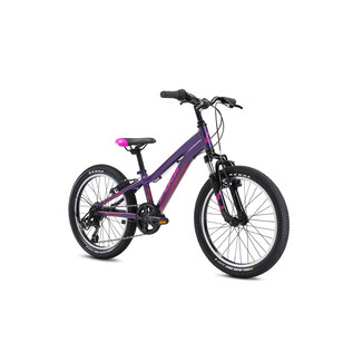 Fuji Fuji Dynamite 16" Coaster