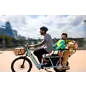 Velotric Velotric Packer 1 Child Safety Balustrade