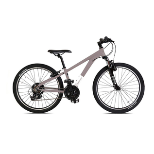 Batch Bicycles Batch MTB 24