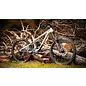 Fuji Fuji Auric 27.5 LT 1.5