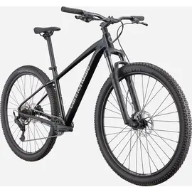 Cannondale Cannondale Trail 2