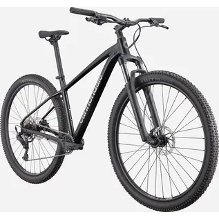Cannondale Cannondale Trail 2