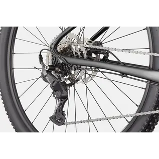 Cannondale Cannondale Trail 2
