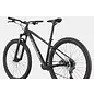 Cannondale Cannondale Trail 2