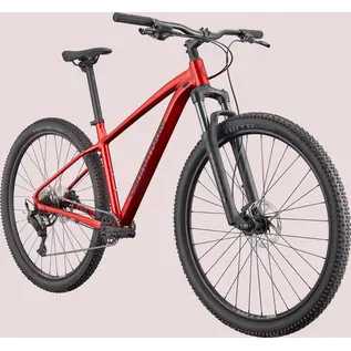 Cannondale Cannondale Trail 2