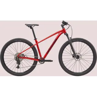Cannondale Cannondale Trail 2
