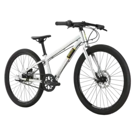 Breezer Breezer Beltway 24 Silver