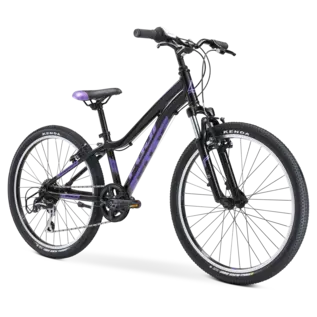 Fuji Fuji Dynamite Comp