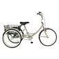 Manhattan Manhattan Cruiser Adult Trike Steel