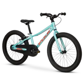 Fuji Fuji Dynamite 20 Coaster