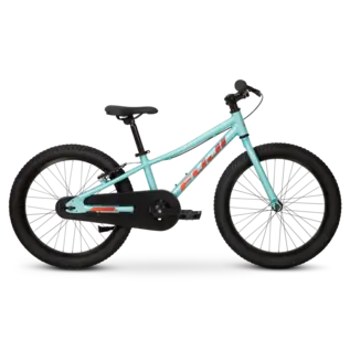 Fuji Fuji Dynamite 20 Coaster