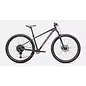 Specialized Rockhopper Comp 29