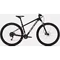 Specialized Rockhopper 29