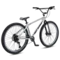 SE Bikes SE Bikes Fast Ripper 29