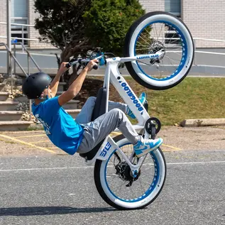 SE Bikes SE Bikes Electric Boogaloo 24"