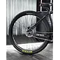 Throne Cycles Throne Cycles Goon 29 Disc