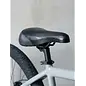 Throne Cycles Throne Cycles Goon 29 Disc