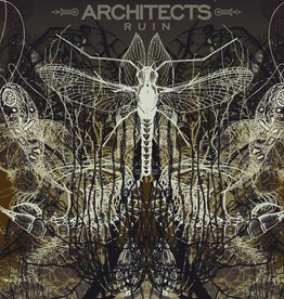 Architects - Ruin